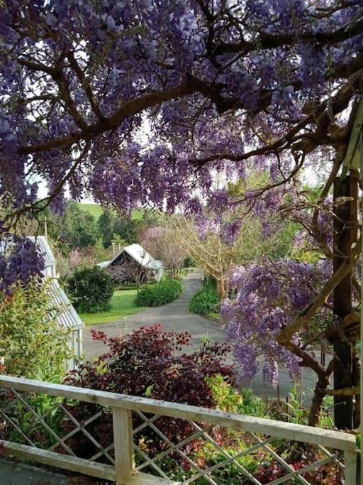 Warm Earth Cottages Aongatete Exterior foto