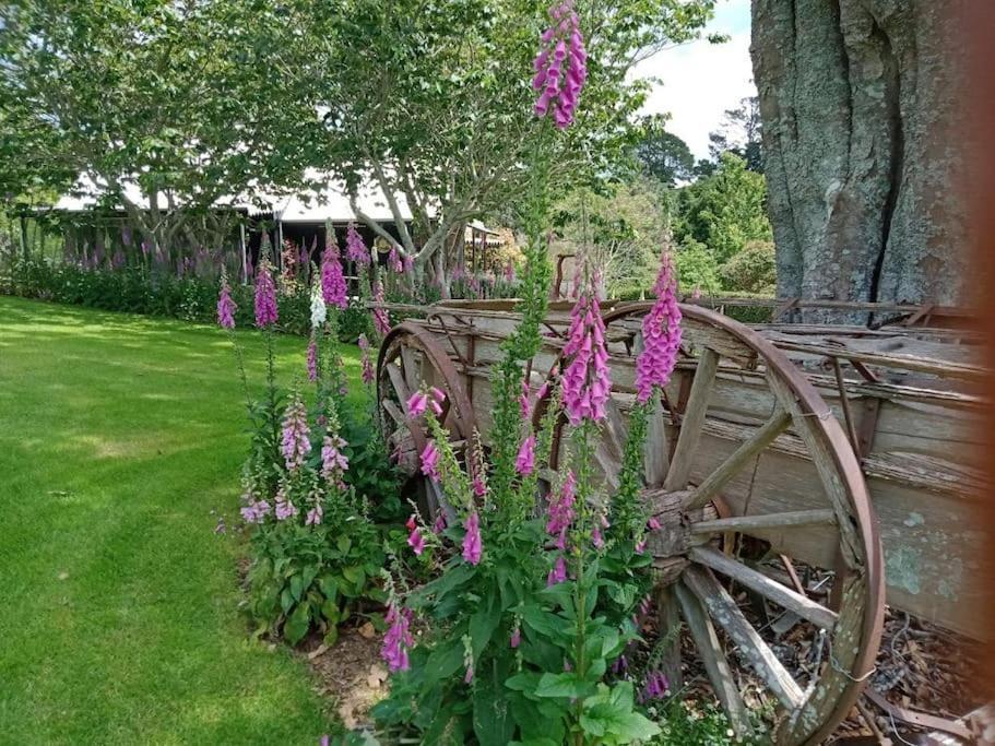 Warm Earth Cottages Aongatete Exterior foto
